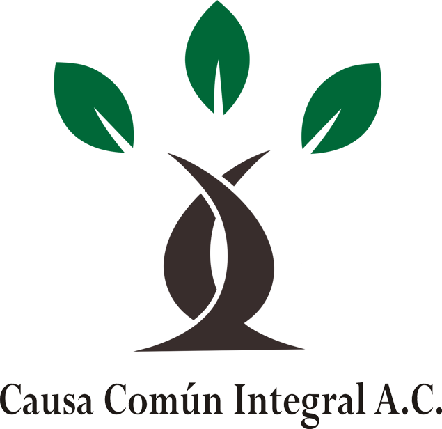logotipo a color CCI